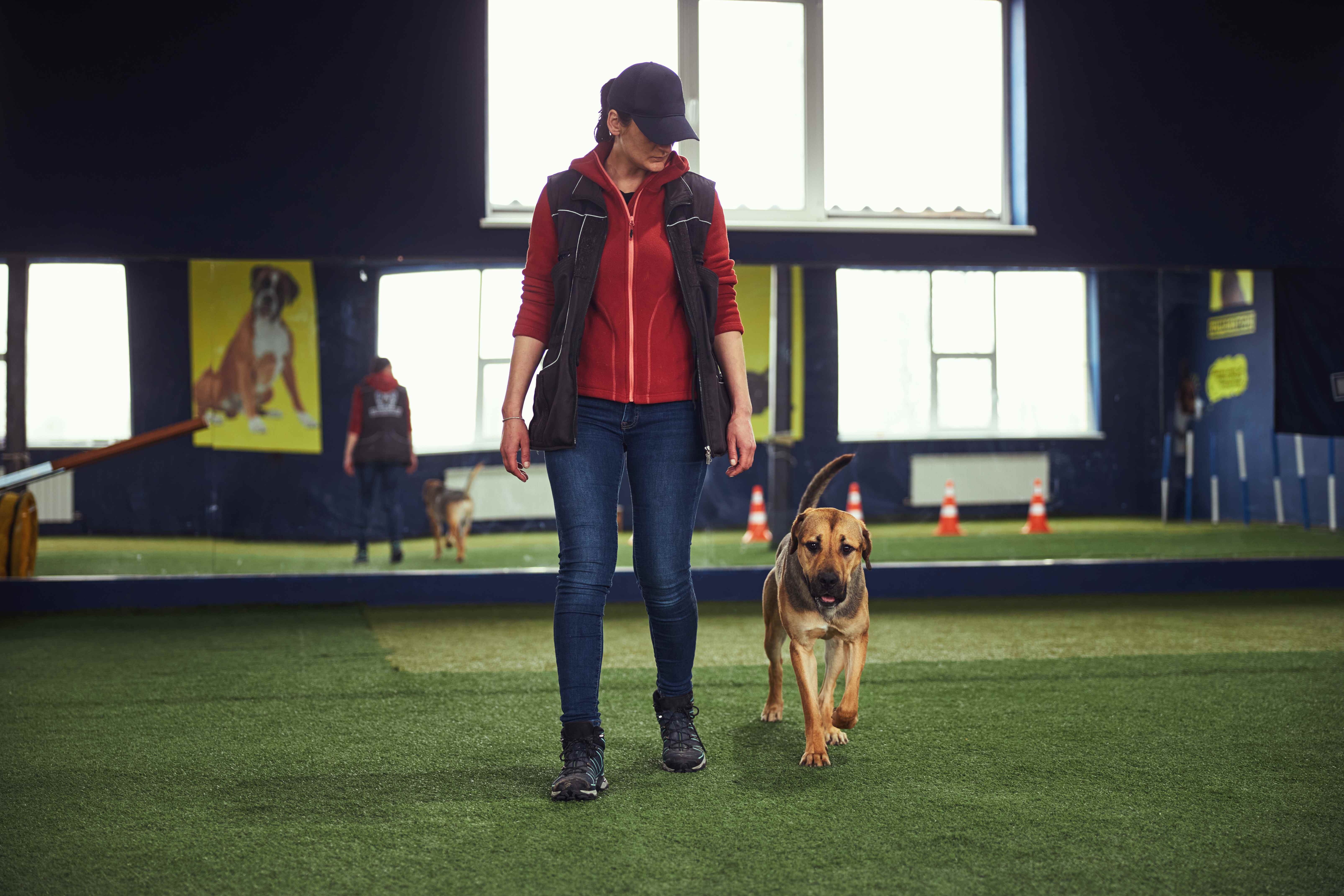 Female dog trainer in a red hoodie and cap walking with a dog heeling beside her in an indoor training facility